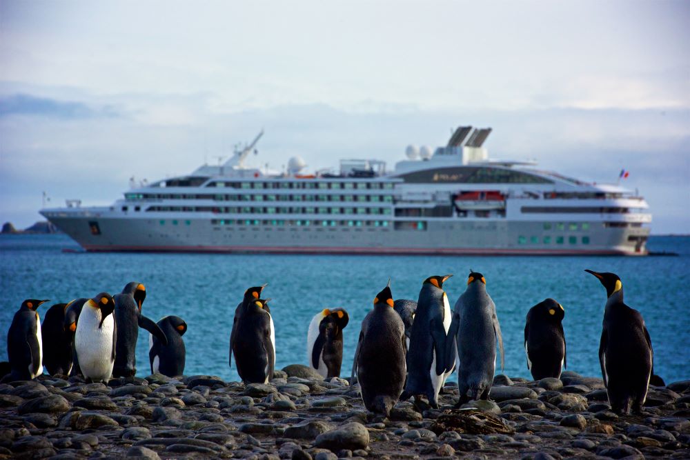 Penguins in Antarctica